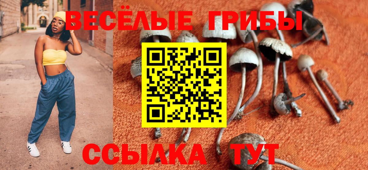 Миасс  Псилоцибиновые грибы ЛСД  Вход с VPN 