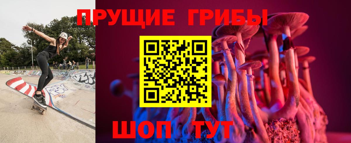 Псилоцибиновые грибы мухоморы Миасс